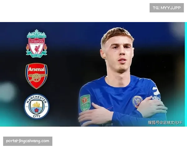 切尔西客战狼队赛前评估，帕尔默状态成关键